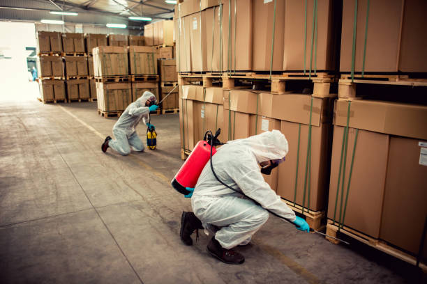 Best Pest Control Near Me  in Mount Vernon, WA