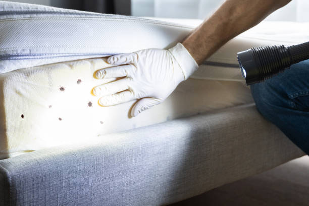 Best Pest Control Near Me in Mount Vernon, WA