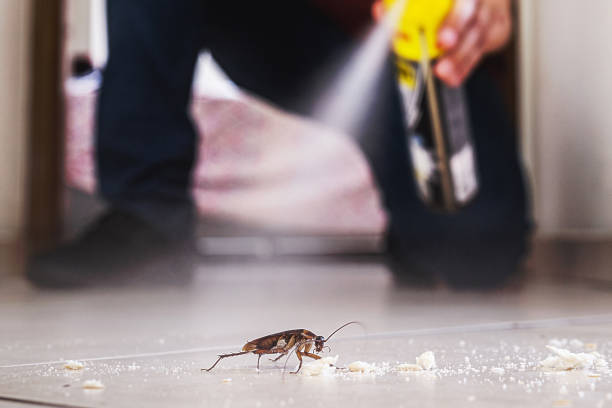 Mount Vernon, WA Pest Control Company